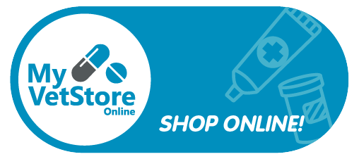 online pharmacy banner