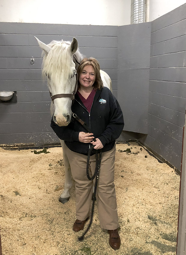 Girl and horse